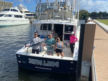 False Albacore, Wahoo Fishing in Pompano Beach, Florida