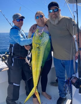Mahi Mahi / Dorado Fishing in Destin, Florida