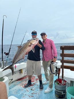Amberjack Fishing in West Palm Beach, Florida