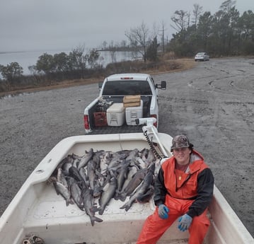 Channel Catfish Fishing in Frisco, North Carolina