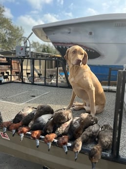 Redhead Fishing in Port Aransas, Texas