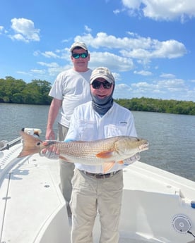 Redfish fishing in Fort Myers, Florida