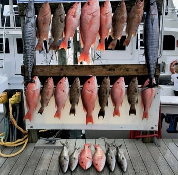Amberjack, Red Grouper, Red Snapper, Scamp Grouper, Wahoo Fishing in Destin, Florida