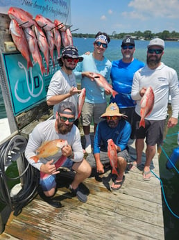 Lane Snapper, Red Snapper Fishing in Fort Walton Beach, Florida