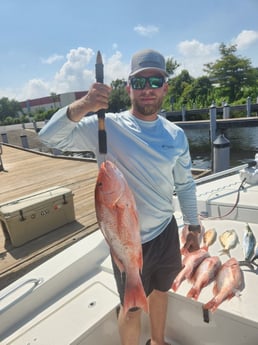 Lane Snapper, Red Snapper, Scup, Spanish Mackerel Fishing in Pensacola, Florida