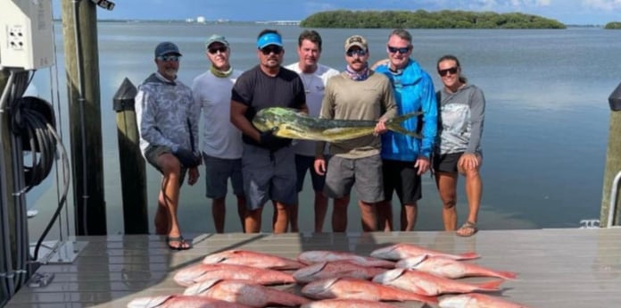 Mahi Mahi, Red Snapper Fishing in Clearwater, Florida