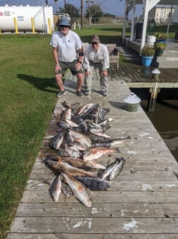 Black Drum, Redfish, Sheepshead, Speckled Trout / Spotted Seatrout Fishing in Sulphur, Louisiana