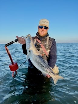 Speckled Trout / Spotted Seatrout Fishing in Bay City, Texas
