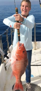 Red Snapper Fishing in Clearwater, Florida