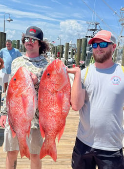 Red Snapper Fishing in Orange Beach, Alabama