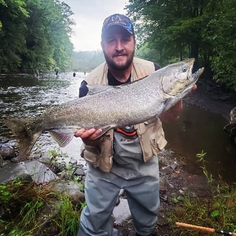 Coho Salmon fishing in Pulaski, New York