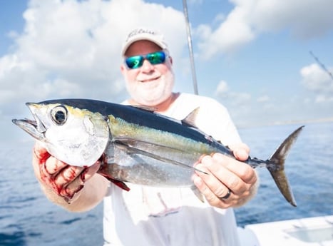 Blackfin Tuna Fishing in Boynton Beach, Florida