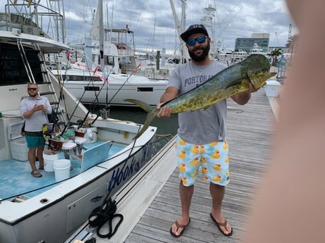 Mahi Mahi / Dorado Fishing in West Palm Beach, Florida