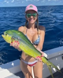 Mahi Mahi / Dorado fishing in Key Largo, Florida