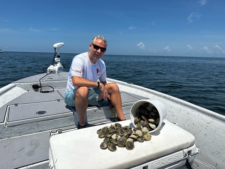 Scallop Fishing in St. Petersburg, Florida