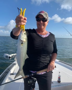 Snook fishing in Clearwater, Florida
