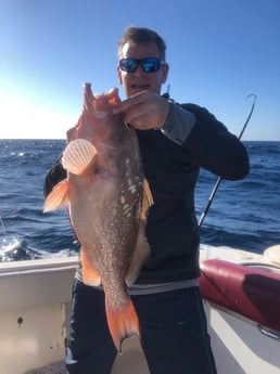 Red Grouper fishing in Madeira Beach, Florida