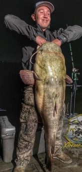 Flathead Catfish Fishing in Dallas, Texas