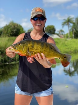 Peacock Bass fishing in Delray Beach, Florida