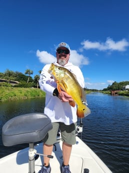 Fishing in Wellington, Florida