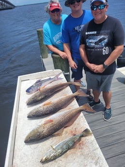 Redfish, Speckled Trout / Spotted Seatrout fishing in Santa Rosa Beach, Florida