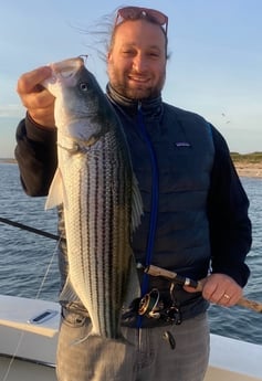 Striped Bass fishing in Nantucket, Massachusetts