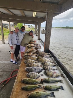 Largemouth Bass, Redfish, Sheepshead Fishing in Boothville, Louisiana, USA