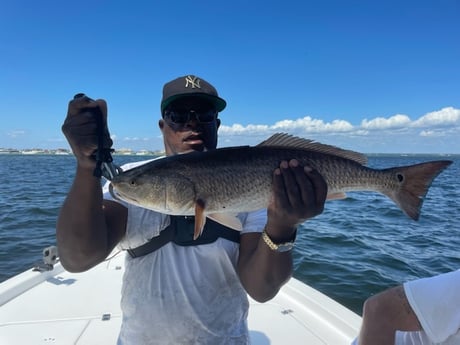 Redfish Fishing in Destin, Florida