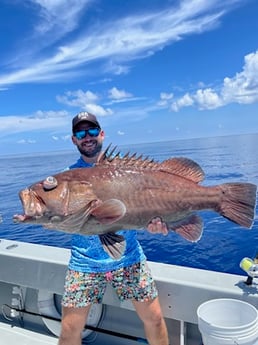 Snowy Grouper Fishing in Key West, Florida