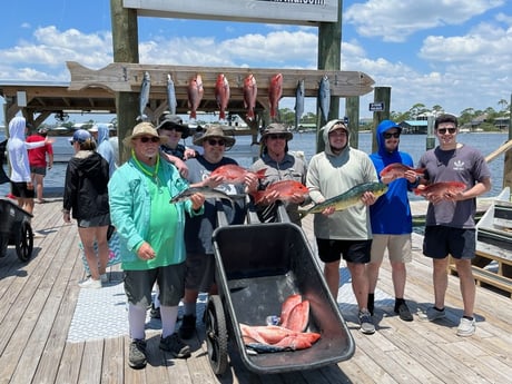 Mahi Mahi, Red Snapper, Spanish Mackerel Fishing in Orange Beach, Alabama