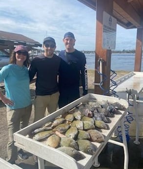 Bream Fishing in Jacksonville, Florida
