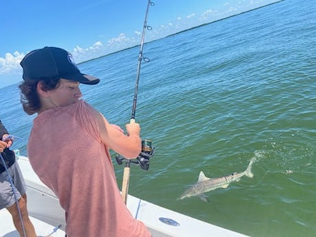 Blacktip Shark fishing in Placida, Florida