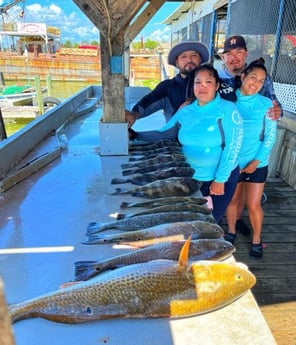 Black Drum, Redfish Fishing in Galveston, Texas
