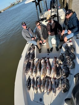 Black Drum, Redfish, Sheepshead, Speckled Trout / Spotted Seatrout fishing in Venice, Louisiana