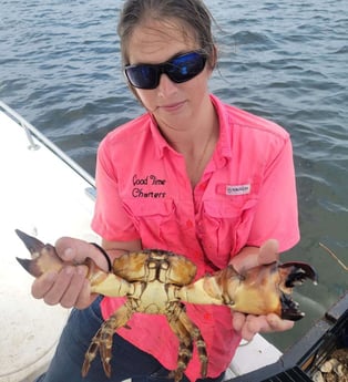 Crab Fishing in Steinhatchee, Florida