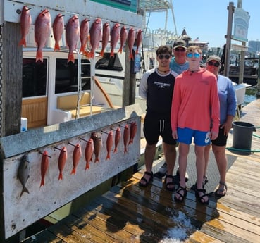 Almaco Jack, Red Snapper, Vermillion Snapper Fishing in Destin, Florida
