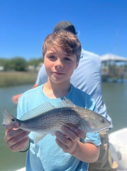 Vermillion Snapper fishing in Mount Pleasant, South Carolina