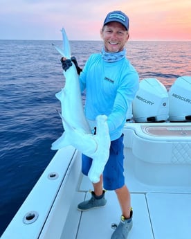 Hammerhead Shark Fishing in Islamorada, Florida
