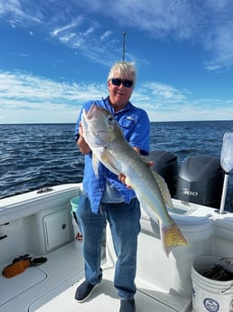 Tilefish Fishing in Destin, Florida