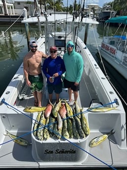 Mahi Mahi, Mutton Snapper Fishing in Key Largo, Florida