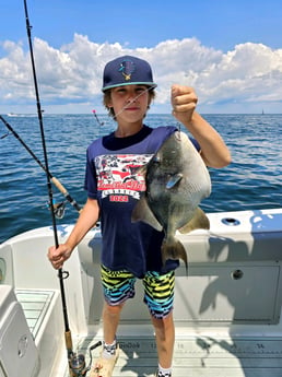 Triggerfish Fishing in Stone Harbor, New Jersey