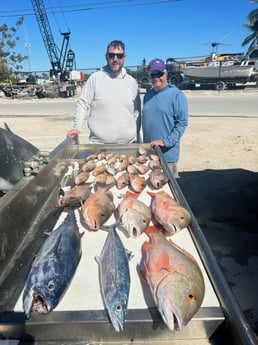 Cero Mackerel, False Albacore, Mangrove Snapper, Mutton Snapper Fishing in Marathon, Florida