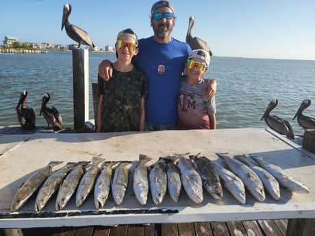 Speckled Trout / Spotted Seatrout fishing in Tiki Island, Texas