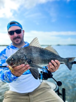 Black Drum Fishing in New Smyrna Beach, Florida