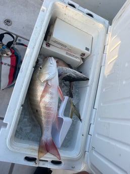 Fishing in Key West, Florida