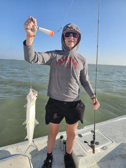 Ladyfish Fishing in South Padre Island, Texas