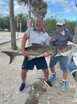 Cobia Fishing in Naples, Florida