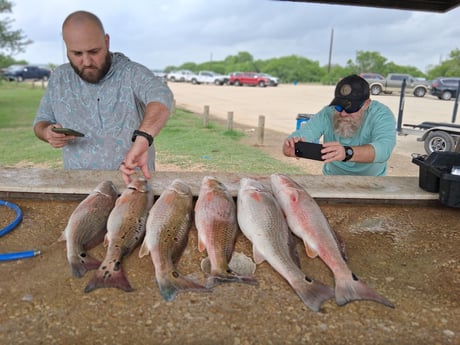 Fishing in Poteet, Texas