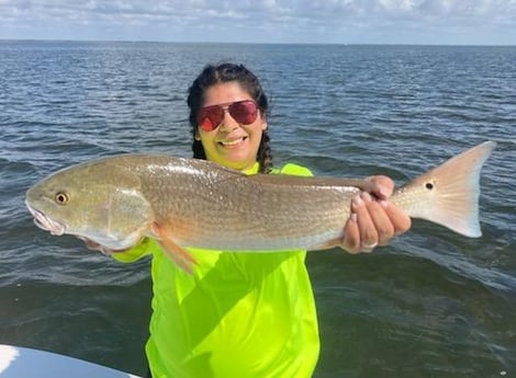Redfish Fishing in Corpus Christi, Texas