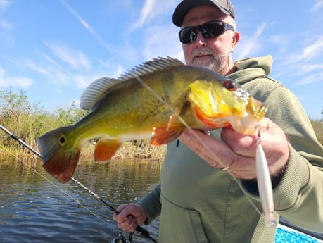 Fishing in Pembroke Pines, Florida